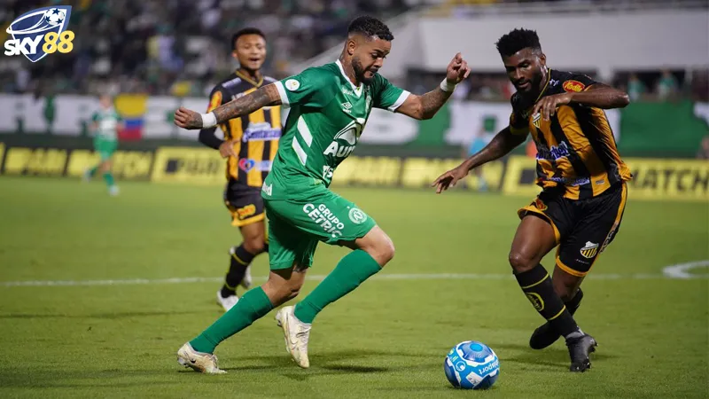 Suc Manh Va Phong Do Cua Chapecoense Vs Vila Nova (1)