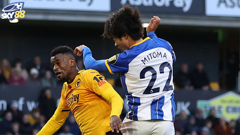 Suc Manh Va Phong Do Cua Wolves Vs Brighton