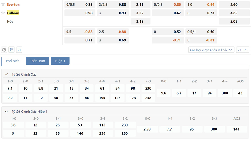 Bang Ty Le Keo Everton Vs Fulham (1)